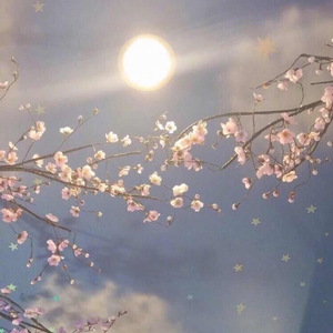 91精品综合在线视频
