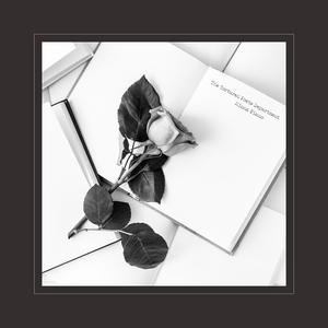 91精品综合在线视频
